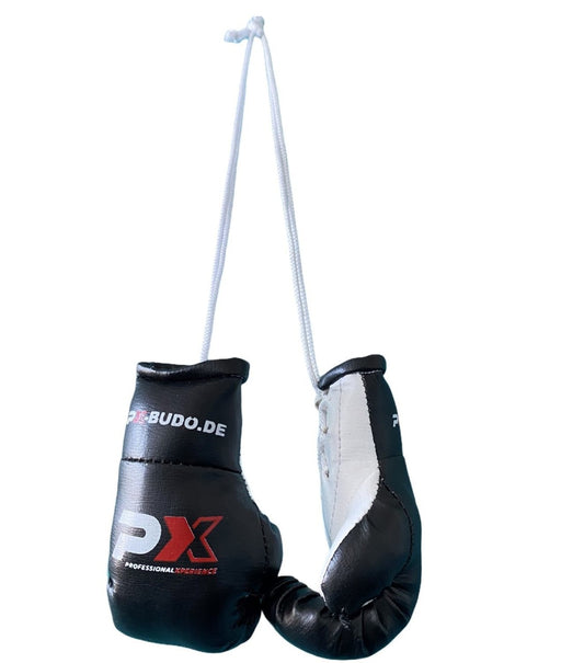 Paire de mini gants de boxe suspendus – coupe ergonomique, avec fermeture velcro