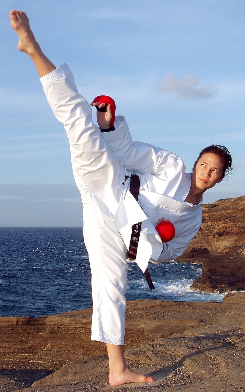 KARATEGI, TOKAIDO HAYATE, Made in Japan, 8 oz Karateanzug