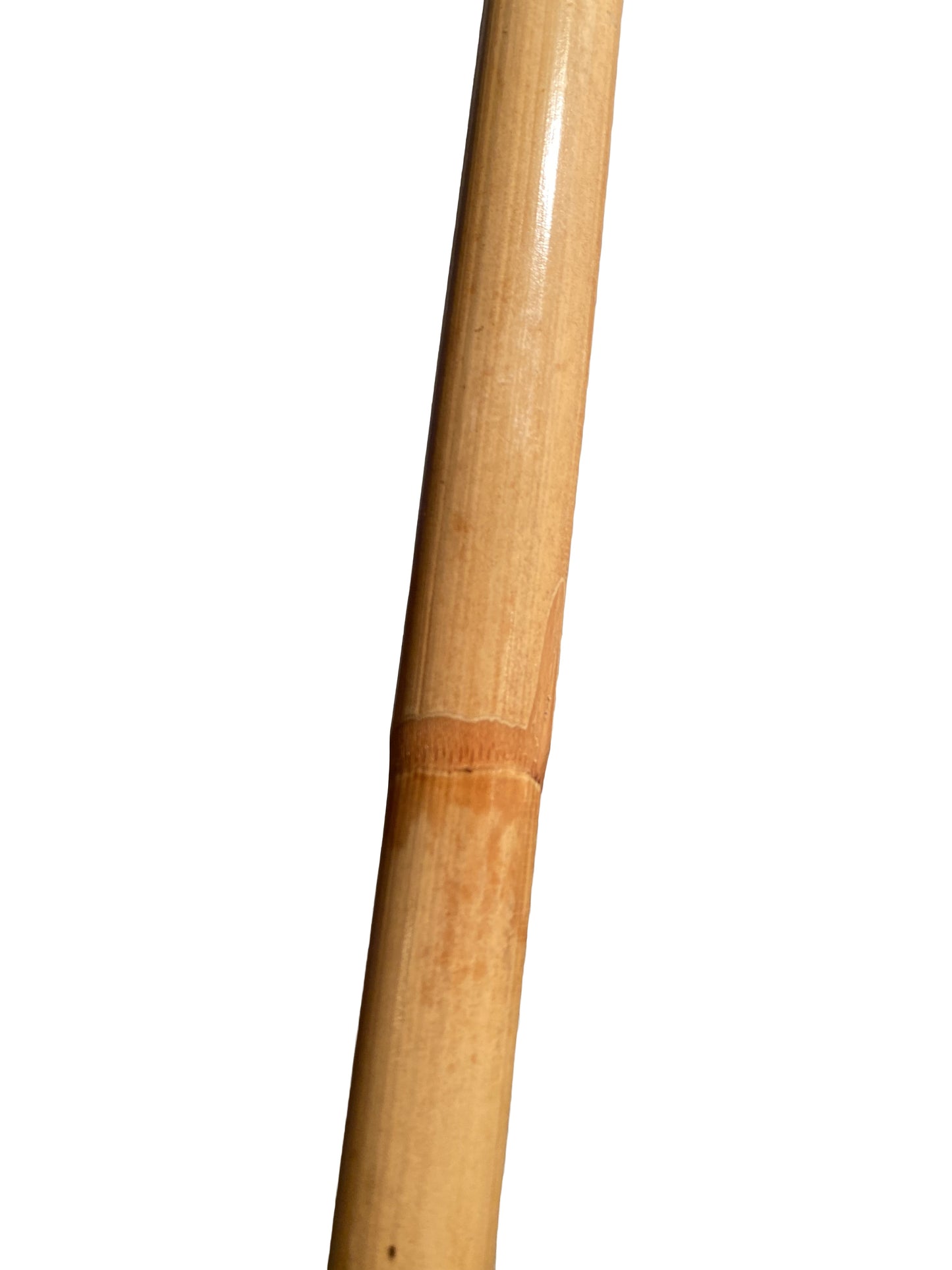 SET Bo Stick Rotin non décortiqué avec sac d'arme - Bâton en bois de 182 cm de long - Avec coque extérieure