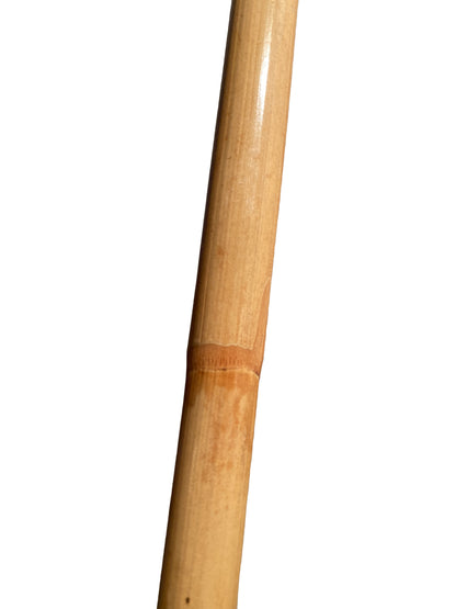 SET Bo Stick Rotin non décortiqué avec sac d'arme - Bâton en bois de 182 cm de long - Avec coque extérieure